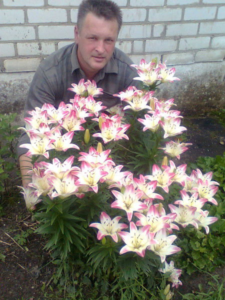 Марат Казей