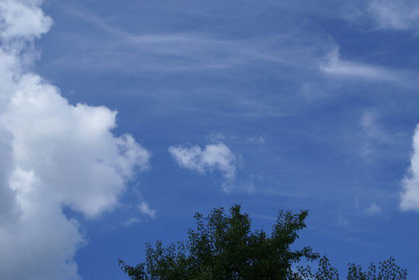 Виктория Чепельникова