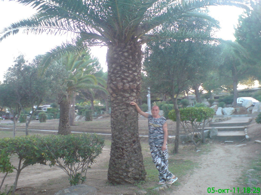 Сергей Сергеичь