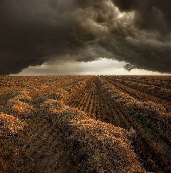 Ержан Текеев