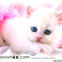 Sheyla @@@@