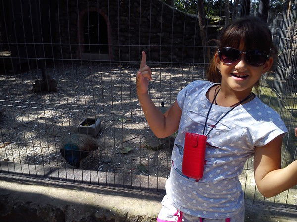 Карина Чекунова