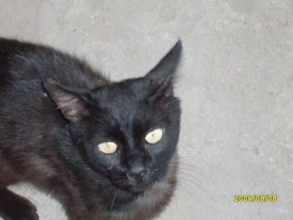 Мила Тоцкая