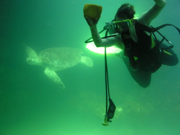 Василий Акира