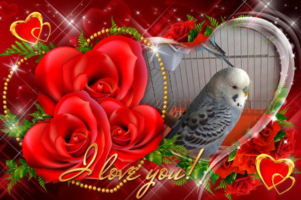 Татьяна Сах