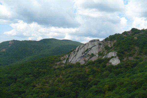 Марина Назарова