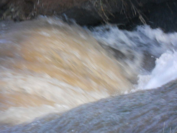 Гузалия Сафинахалиуллина