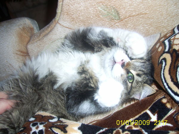 Оля Качерова