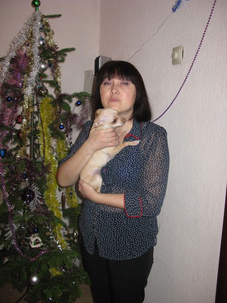 Елена Михайлова