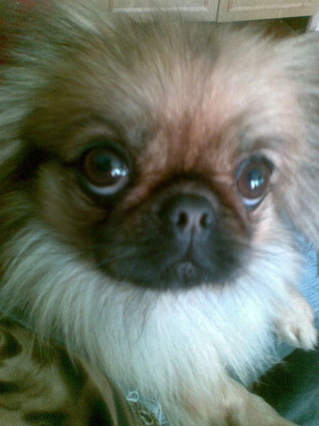 Ольга Ковальчук