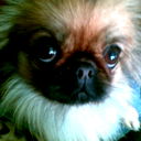 Ольга Ковальчук