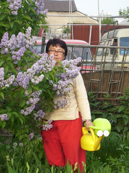 Надежда Проценко