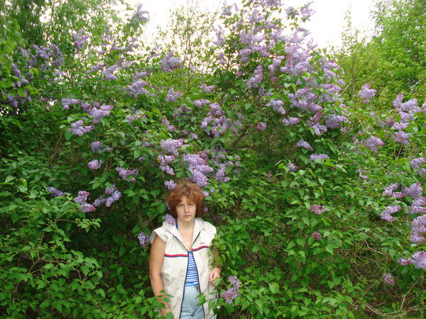 Светлана Максимова