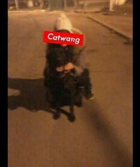 Елена Калистова