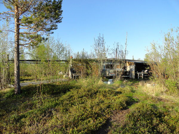 Михаил Ермолаев