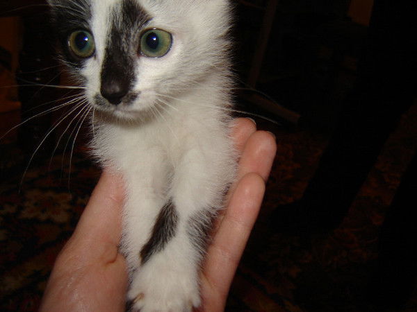 Лана Сергеева