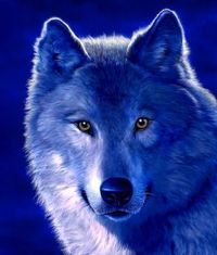 Ольга Ворова