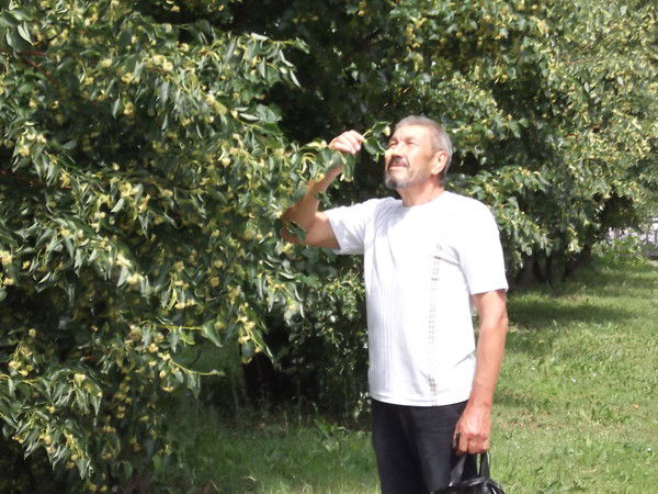 Юрий Алиференко