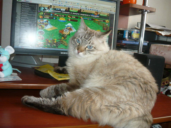 Сергей Зуев