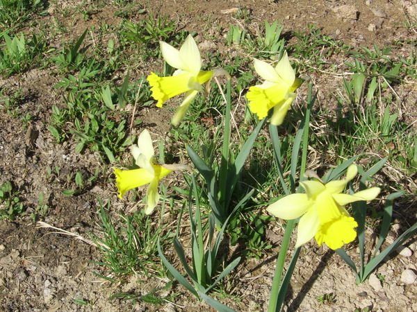 Наталья Лукашова