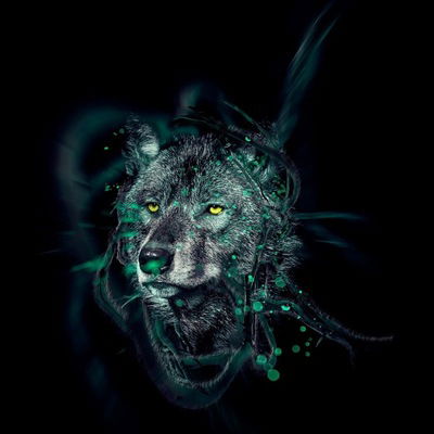 Михаил Митрофанов