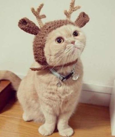 Надежда Котова