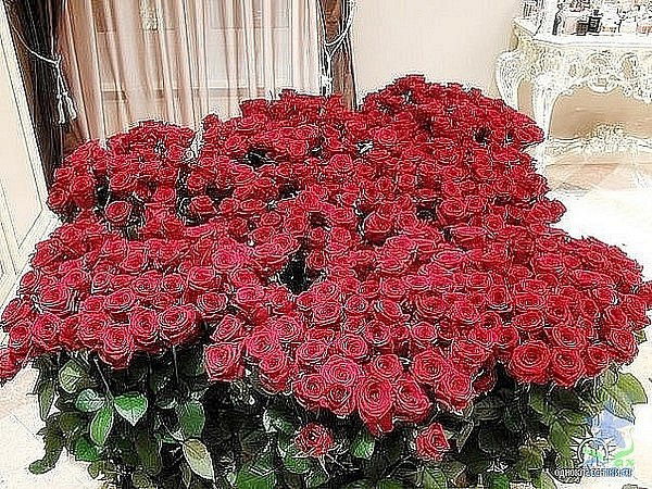 Нурбахыт Саржанова