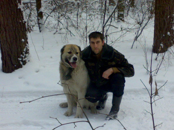 Николай Мельниченко