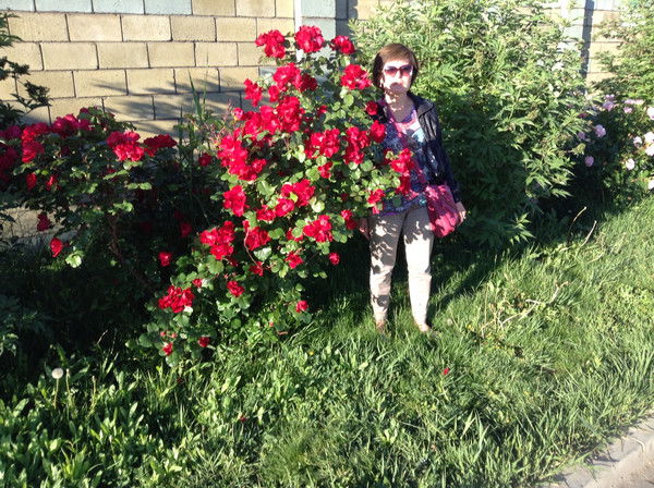 Гульнара Ермаганбетова