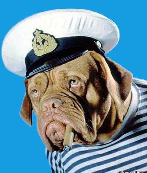 Alexandr Vodolazskiy