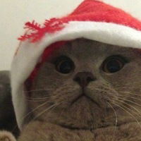 Григорий Пилипенко