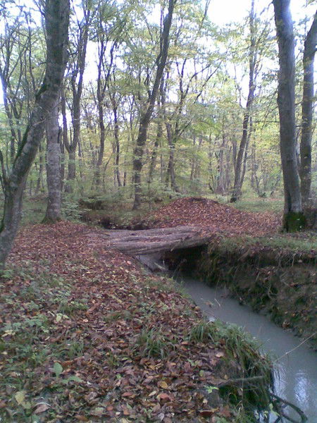 Эльчин Шихкеримов