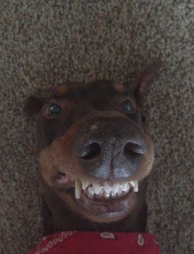 Безнадежный Романтик