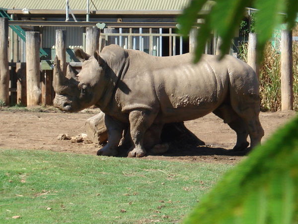 Василий Горбенко