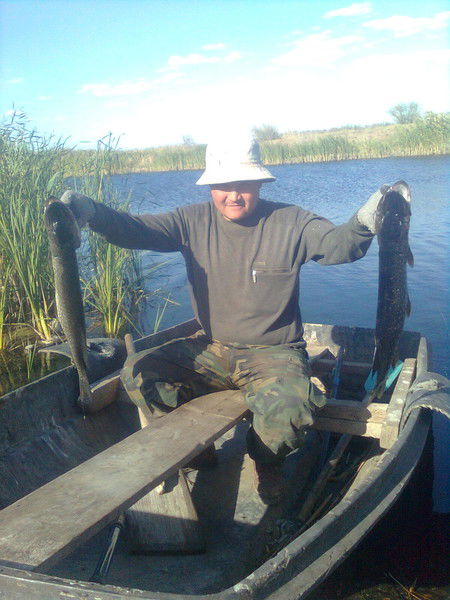 Данияр Сарсенов