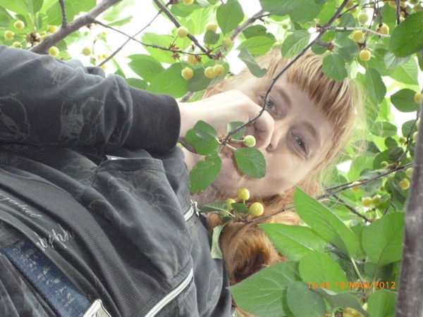 Наталья Супрягина