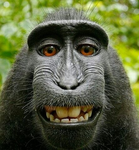 Петя Петров