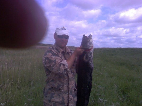 Алексей Минец