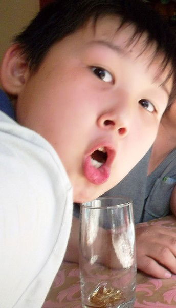 Чингиз Токаев