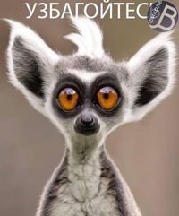 Константин Байбулатов