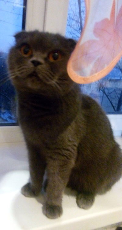 Екатерина Федяева