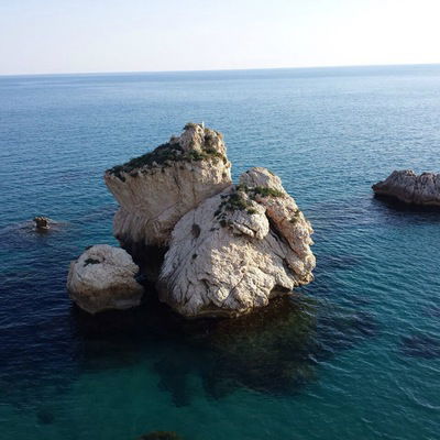 Наталья Кузнецова