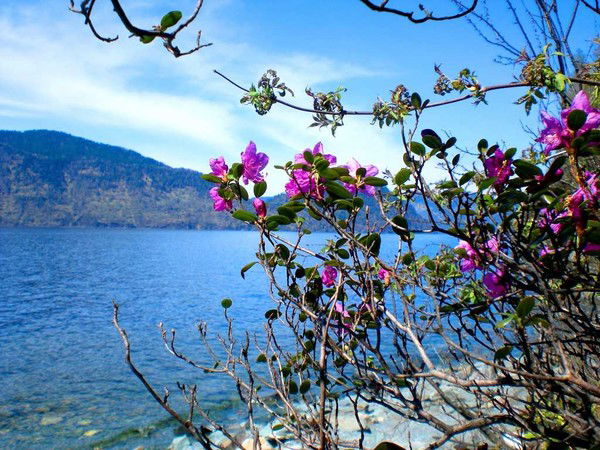 Галина Мурзинцева