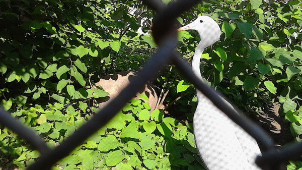 Психологи Педагоги