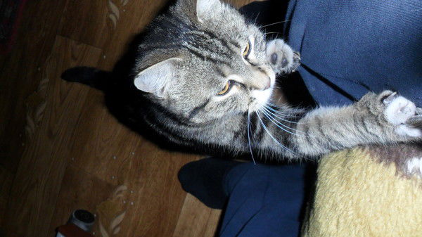 Геннадий Бабенко