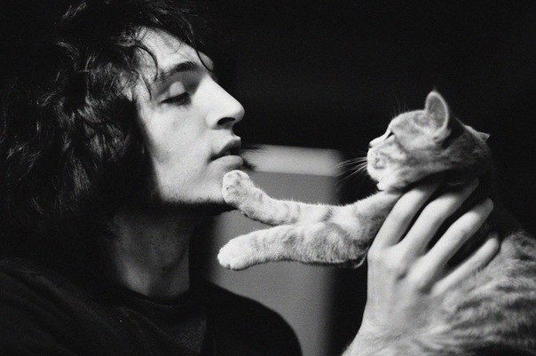 Настя Берлет