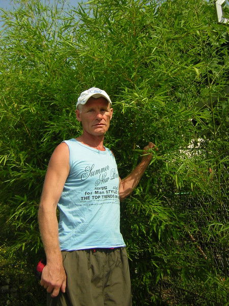 Вячеслав Стуканов