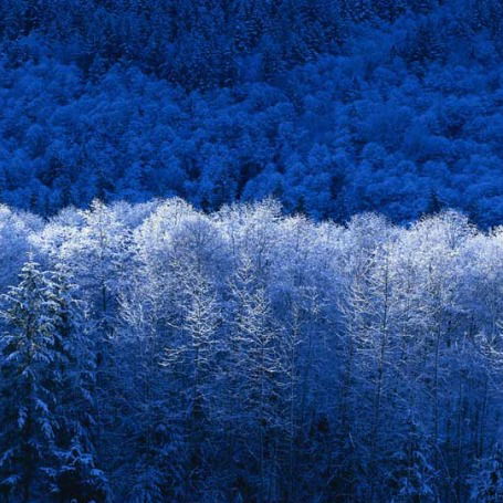 Навлинский Роо Навлинский Роо