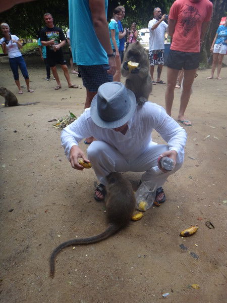 Серый Са&ин