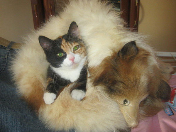 Ксения Нагорная